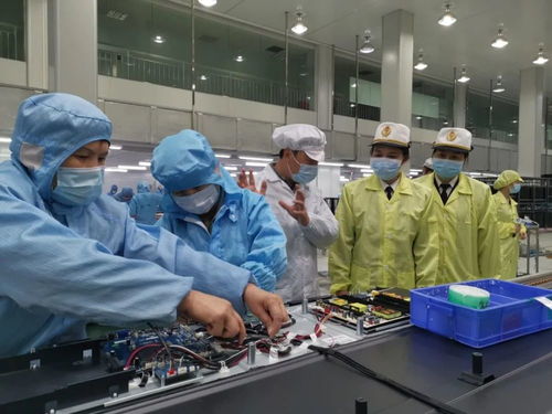 一季度江門外貿(mào)量質(zhì)齊增 口岸營商環(huán)境優(yōu)化與新材料技術(shù)推廣服務(wù)激發(fā)新活力