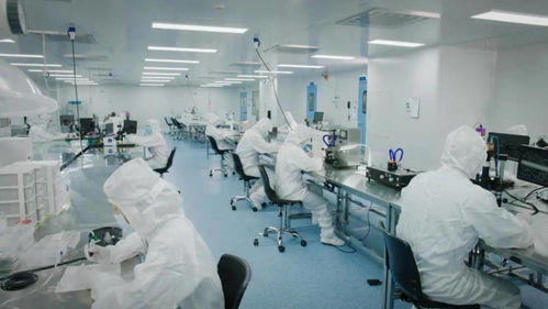 北芯生命遞交招股書 擬募資12.74億元，加速新材料技術研發與產業化進程